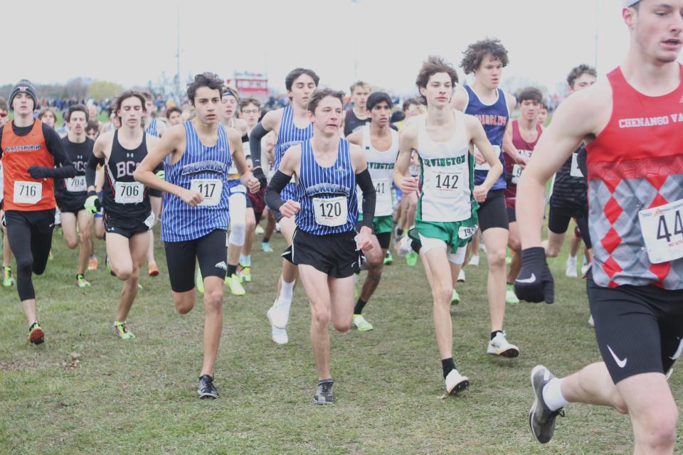Runners, including Bronxville's Julian Gonzalez (117) and Kieran McBride (120) and Irvington's Indy Minkoff (142) compete near the beginning of the boys Class C race at the state cross-country championships Nov. 11, 2023 in Vernona, New York.