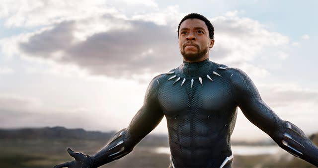 Marvel Chadwick Boseman as King T'Challa in <em>Black Panther</em> (2018)