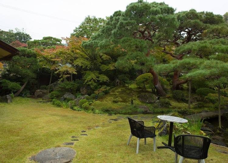 11月下旬，日本庭園的樹木慢慢變色，迎接紅葉的到來