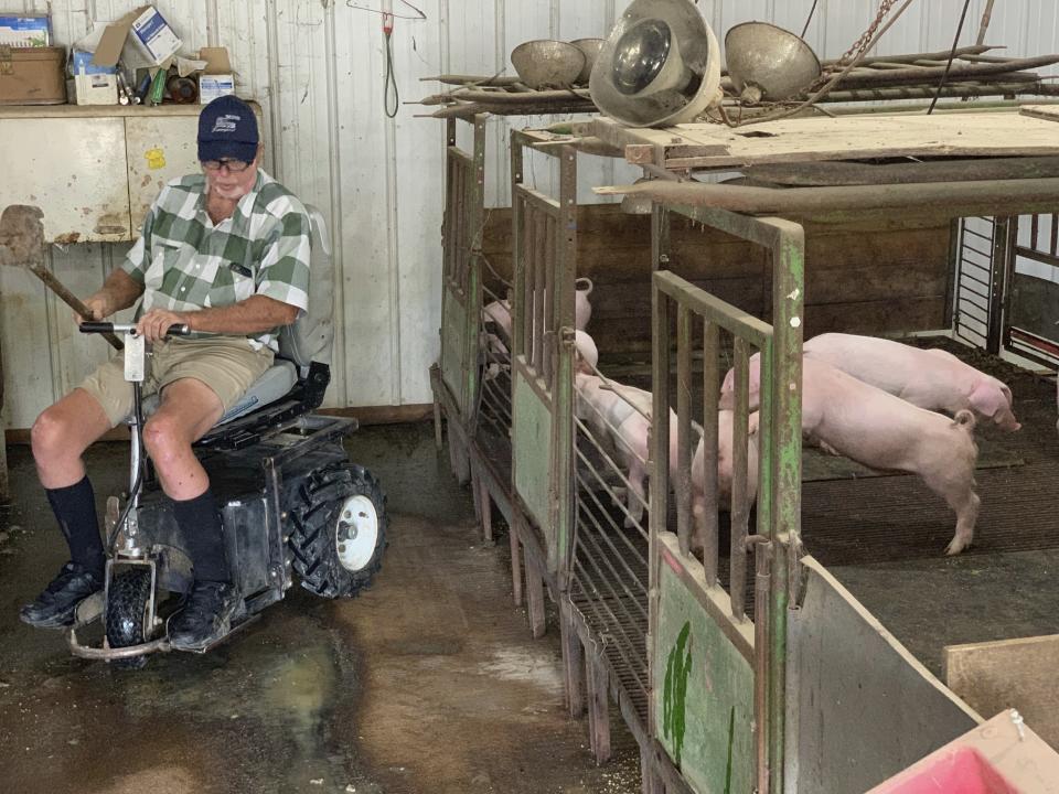 In this July 10, 2019, photo, farmer Mark Hosier, 58, rides a scooter as he checks on his pigs on his farm in Alexandria, Ind. Hosier was injured in 2006, when a 2000-pound bale of hay fell on him while he was working. Assistive technology, help from seasonal hires and family members, and a general improvement in the health of U.S. seniors in recent decades have helped farmers remain productive and stay on the job well into their 60s, 70s and beyond. (Andrew Soregel via AP)