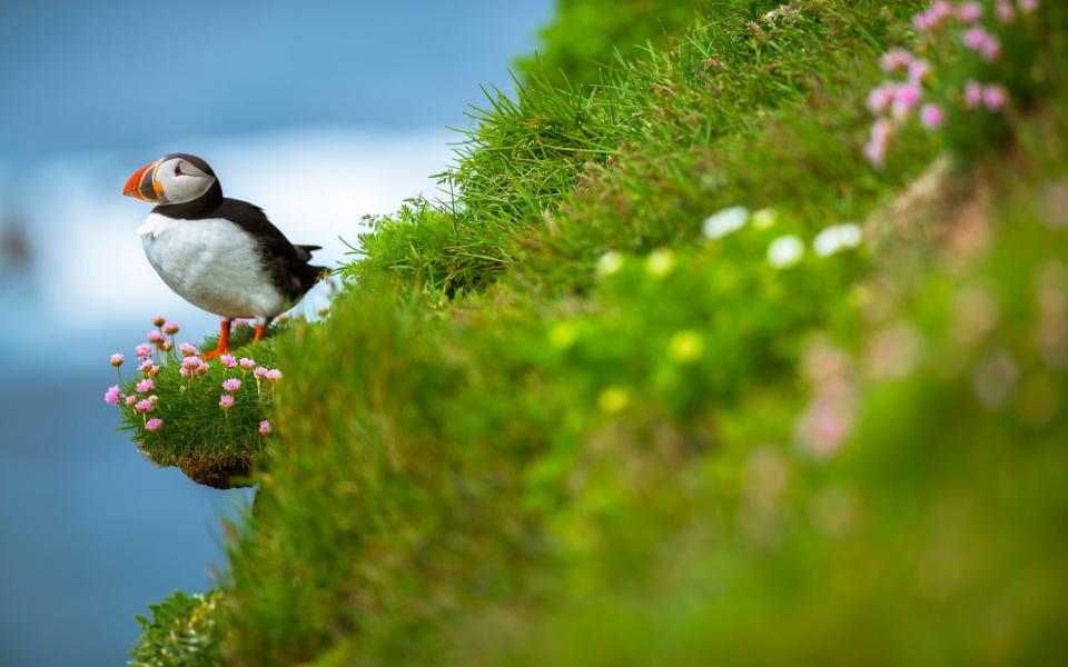 We think of this rugged Atlantic outcrop as a winter destination but Chris Leadbeater warms to its charms whatever the season - getty