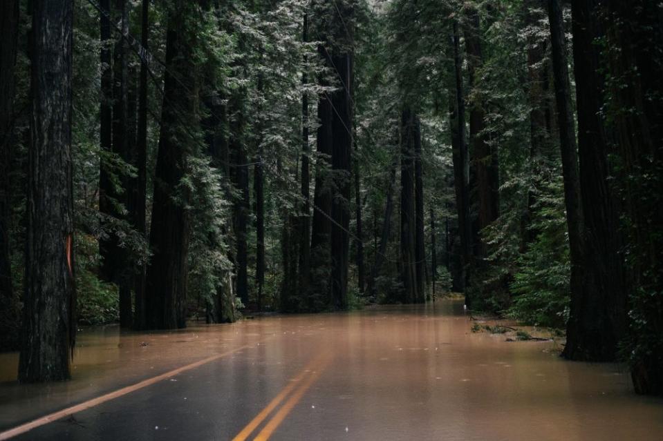 The Avenue of the Giants in Humboldt flooded after weeks of catastrophic downpours in Redcrest, Calif. on Jan. 13.<span class="copyright">Alexandra Hootnick—The New York Times/Redux</span>