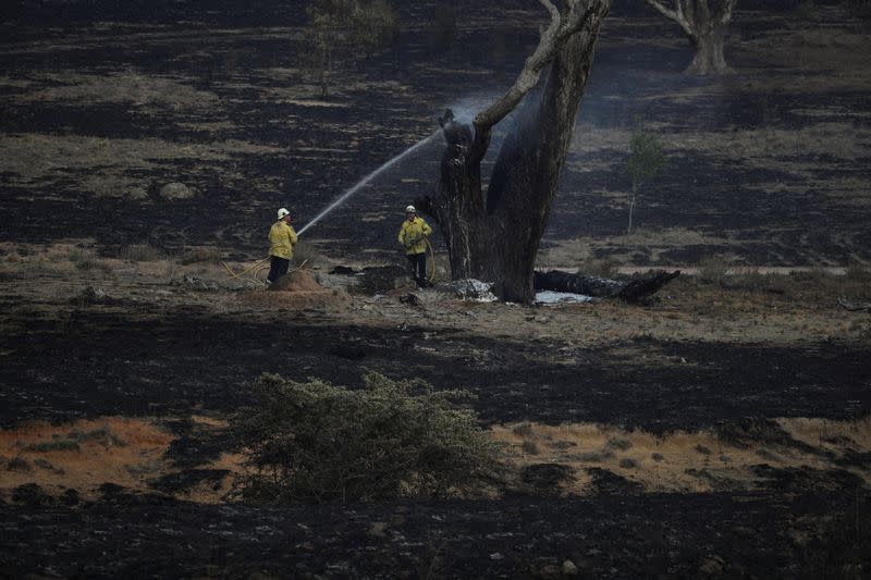 Firefighters spray water on a smouldering tree left in the wake of a bushfire near Bumbalong