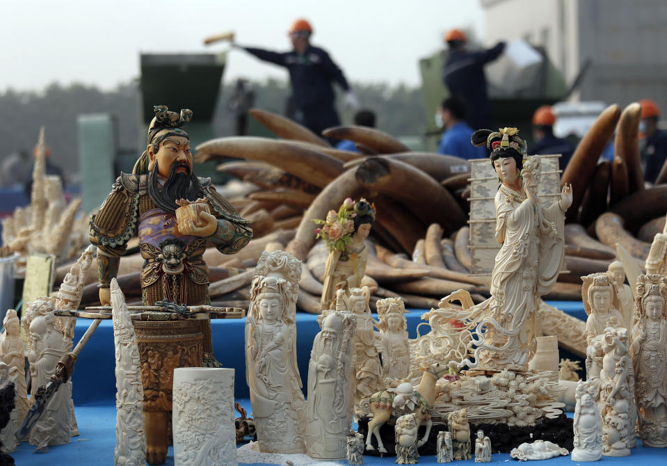 Workers, background, destroy confiscated ivory in Dongguan, southern Guangdong province, China, Monday, Jan. 6, 2014. China destroyed about 6 tons of illegal ivory from its stockpile on Monday, in an unprecedented move wildlife groups say shows growing concern about the black market trade by authorities in the world's biggest market for elephant tusks. (AP Photo/Vincent Yu)