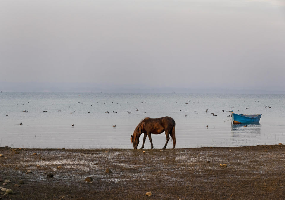 India Wetlands