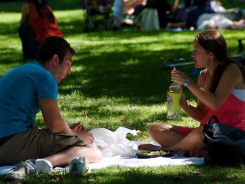 Picnic friends summer