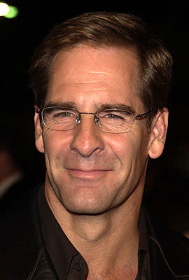 Scott Bakula at the Hollywood premiere of Life as a House