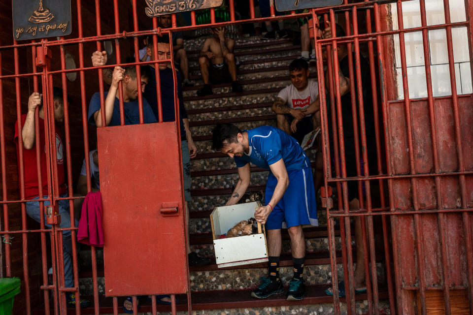 Un gato se une a una partida de cartas con reclusos en una sección de baja seguridad de la prisión. (Cristobal Olivares/The New York Times)