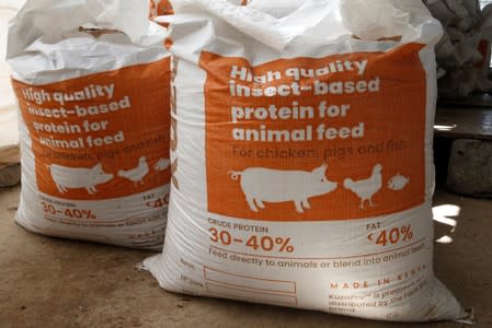 Sacks of animal feed made from Black soldier fly larvae, are seen at the Sanergy organics recycling facility near Nairobi