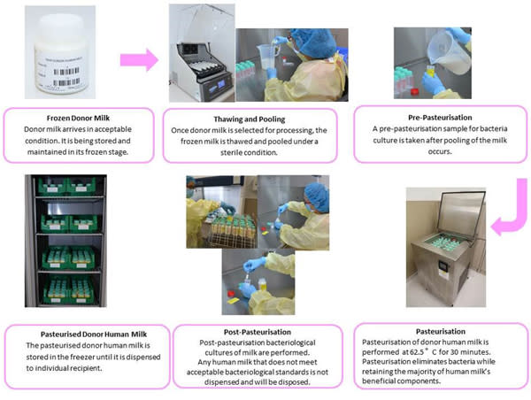 The pasteurisation and storage process for donor breast milk. (IMAGE: KKH / Temasek Foundation Cares)