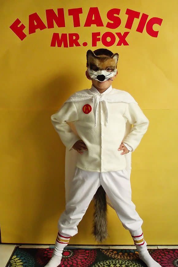 book character costumes   fantastic mr fox