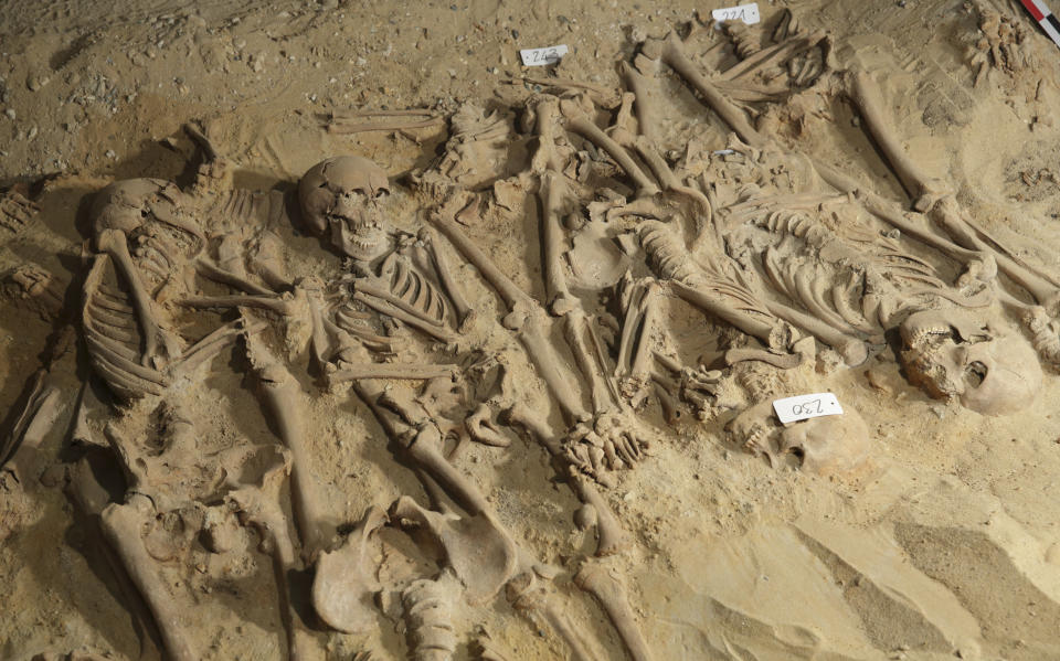 Skeletons are pictured at the site where eight mass graves, with more than 200 skeletons, were found under the Monoprix Reaumur Sebastopol store in Paris March 10, 2015 . The discovery, made during renovation work in the cellar of the branch of Monoprix, has revealed what experts believe are victims of a sudden illness resembling an outbreak of Bubonic plague and could prove useful to historians studying burials in the Middle Ages. Eight communal graves have so far been discovered, seven small plots and one much larger one in which 150 skeletons have already been unearthed. The supermarket stands on the site of the cemetery of the Trinity hospital, founded in the 12th century and destroyed at the end of the 18th, and experts say the organisation of the graves points to a "mass mortality crisis".  Picture taken March 10, 2015.  REUTERS/Philippe Wojazer (FRANCE - Tags: SOCIETY SCIENCE TECHNOLOGY TPX IMAGES OF THE DAY)