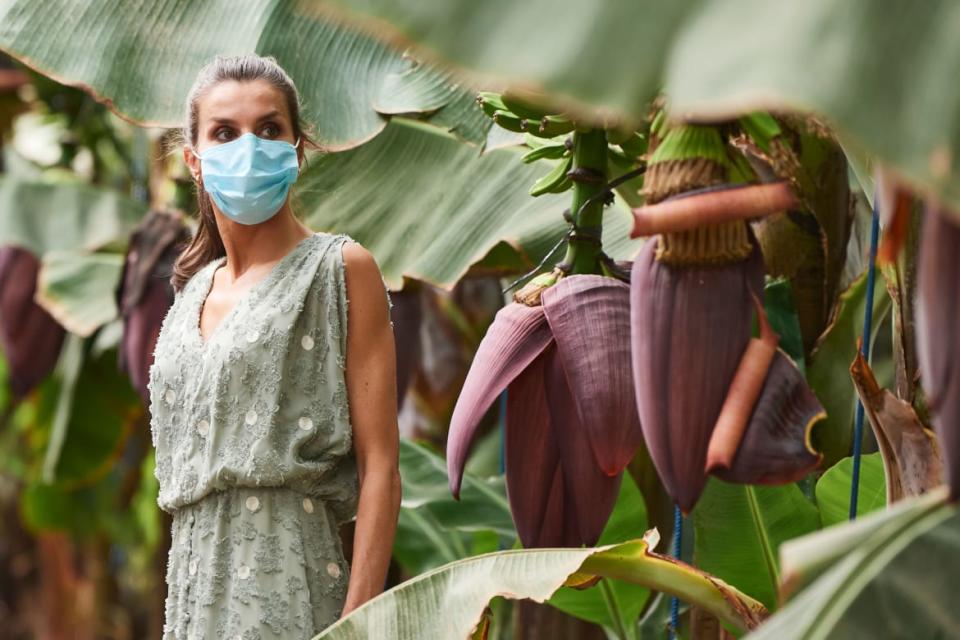 <div class="inline-image__caption"><p> Queen Letizia of Spain visits the El Confital farm, a Canarian fruit plantation on June 23, 2020 in Tenerife, Spain.</p></div> <div class="inline-image__credit">Carlos R. Alvarez/Getty</div>