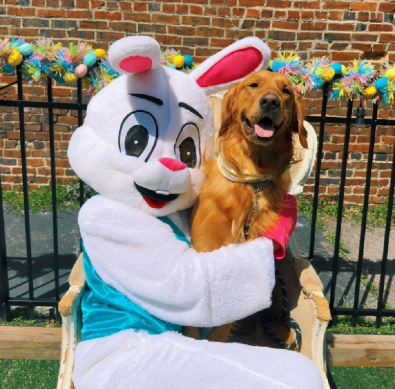 The Royal Bark Social Club’s owner Alisa Hamby is more than happy to dress up as the Easter Bunny. The Royal Bark Social Club and The Bark held these photo events.