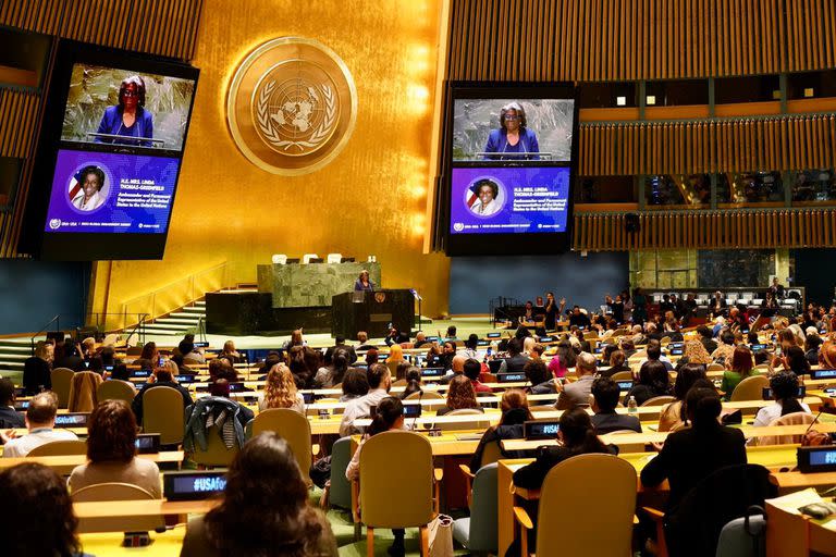 Asamble General de las Naciones Unidas