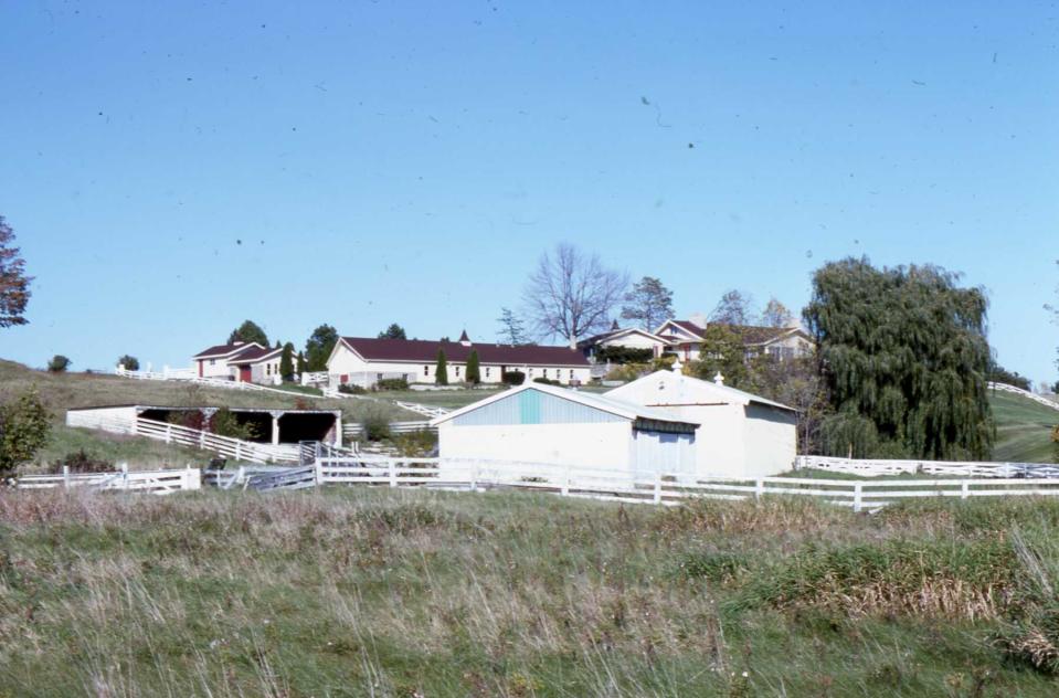 View of May hobby farm and residence before the property became an environmental park. The image looks northeast from the area near the present-day ponds.