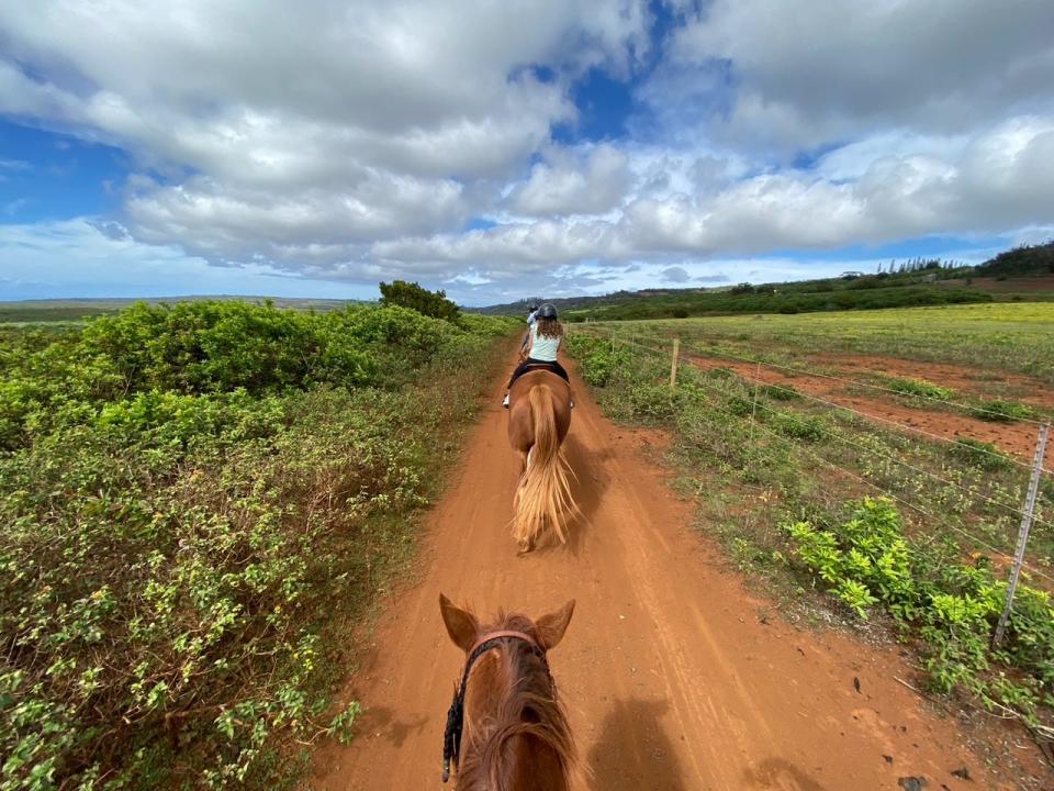 Alesandra Dubin and her family horseback riding. View of her daughter on a horse from over the top of a horse's head.