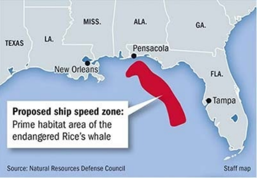 The map of the proposed slow-down zone in the Gulf of Mexico.