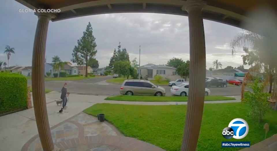 Antonia Mendoza Chavez is captured on her home surveillance on the morning that she took her dogs for a walk, in what her landlord believes is the last footage of the California woman alive (ABC 7/video screengrab)