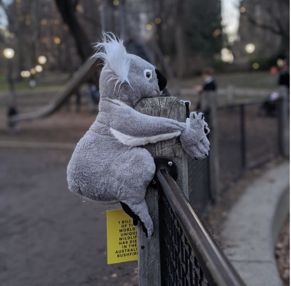 Die Plüsch-Koalas klammern sich an Zäune, Schilder und Bäume in der ganzen Stadt. (Bild: Instagram/@koalasofnyc)