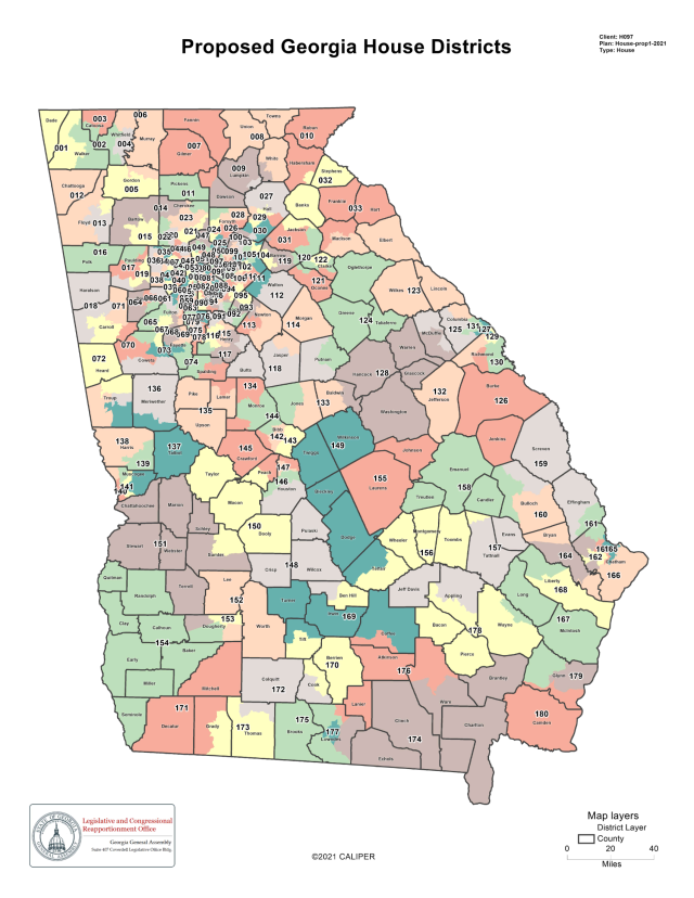 'I hate it': Savannah's Georgia House legislators face new challenges ...