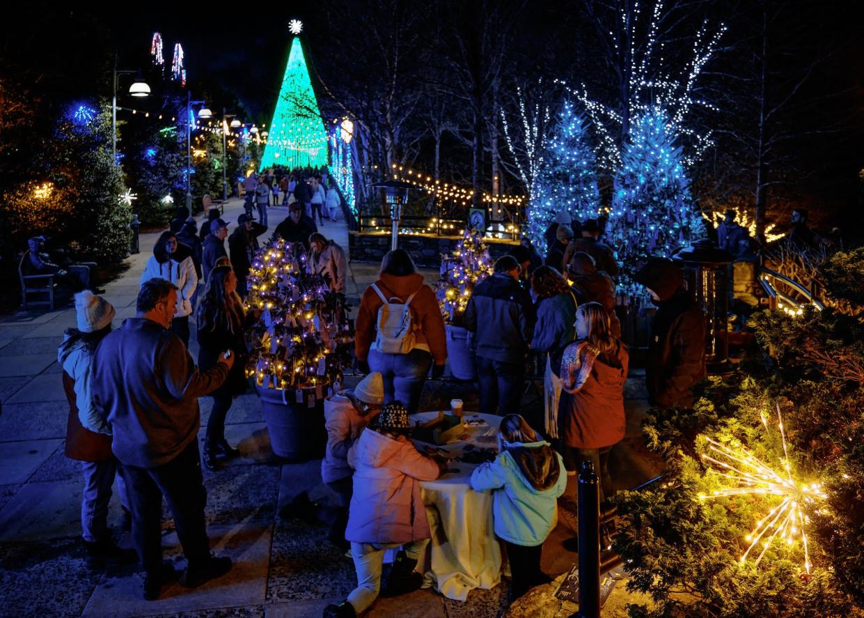 Scenes from the annual Winter Light show at The North Carolina Arboretum.