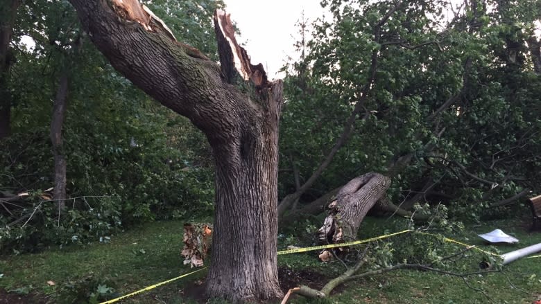 Montreal cleans up after powerful storm leaves destruction in its wake