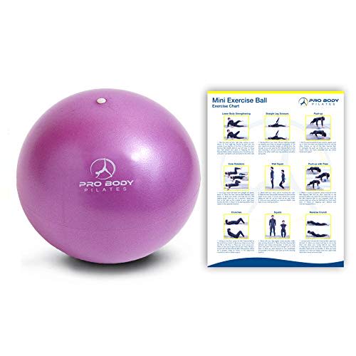 Mini Exercise Ball - 9 Inch Small Bender Ball for Stability, Barre, Pilates, Yoga, Core Training and Physical Therapy (Purple) (Amazon / Amazon)