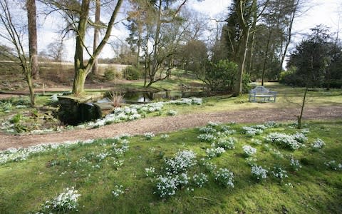 Snowdrop walk at Rode Hall, Cheshire - Credit: ukcityimages.com