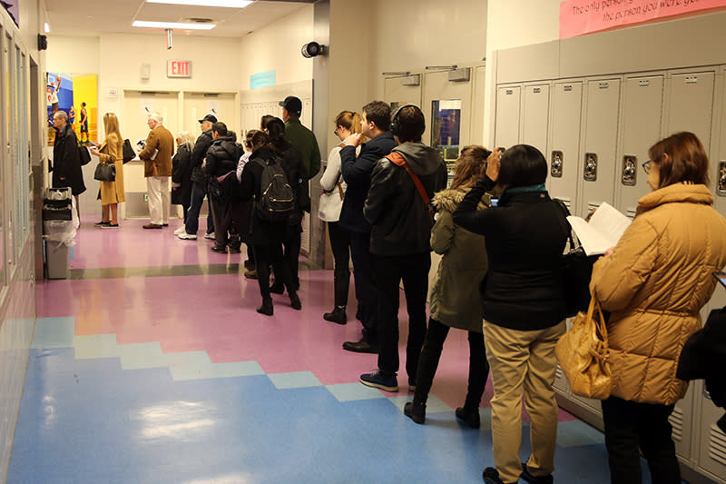 Voters stand in a long line in Manhattan