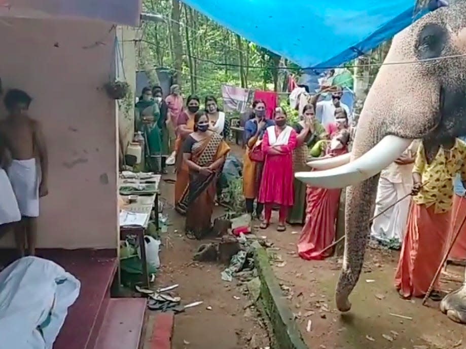 Elephant in Indian village bids farewell to trainer