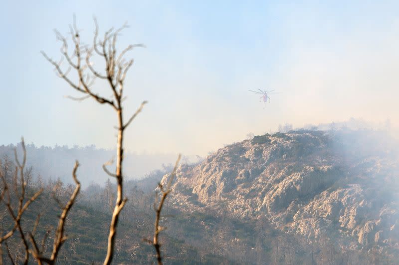 Wildfire burns on Mount Parnitha, near Athens