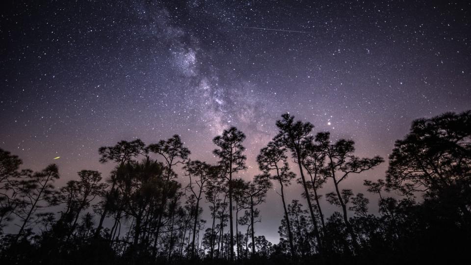 a streak of light zooms among the stars in the night sky