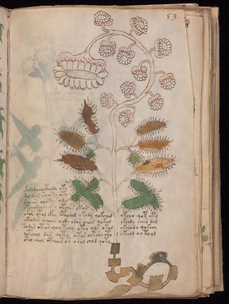 Computer scientist claims clues to deciphering mysterious Voynich manuscript