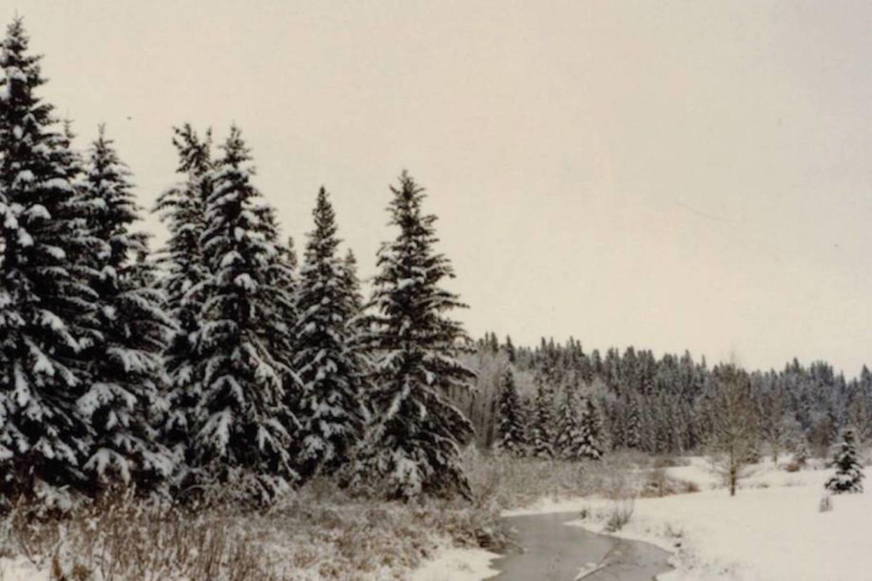 The May storm that brought almost 30 cm of snow to southern Alberta