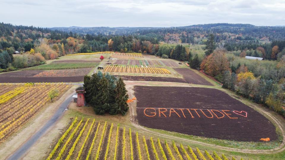 Crops at Suyematsu Farms on Bainbridge Island, Wash., feature a thankful message on Nov. 6.