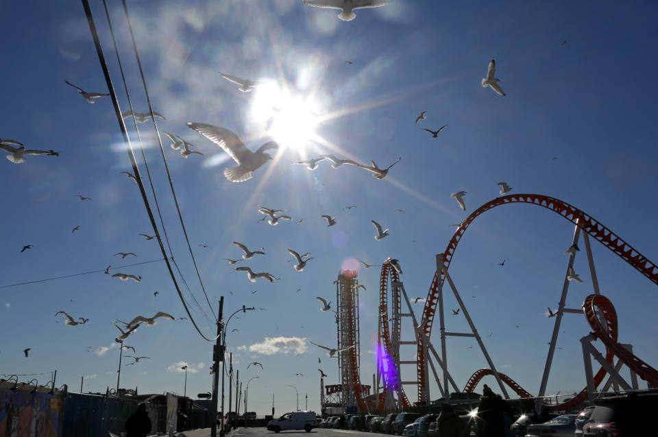 <p>Seagulls fly at Coney Island before Polar Bear Club swimmers make their annual icy plunge into it on New Year’s Day, January 1, 2018, (Photo: Yana Paskova/Getty Images) </p>