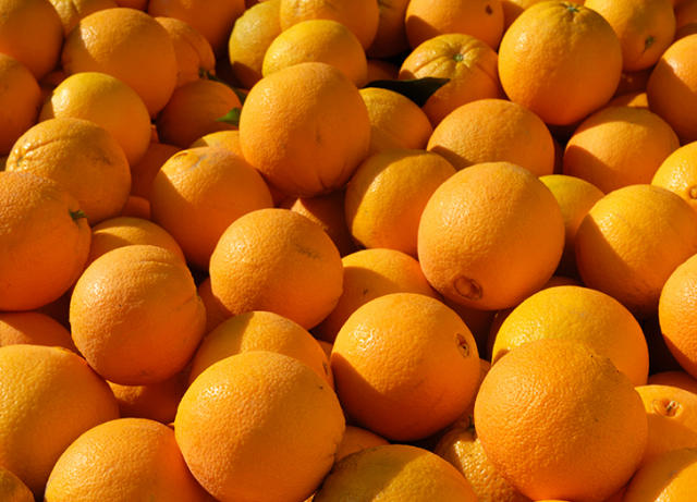 10 Types of Oranges and What They're Best for – PureWow