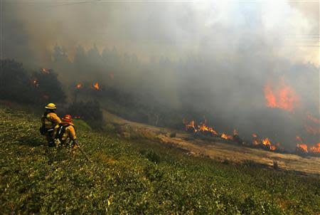 Firefighters battle the so-called Poinsettia Fire as it turns and heads east towards another subdivision of homes in Carlsbad, California May 14, 2014. REUTERS/Mike Blake