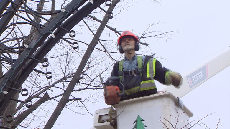 Charlottetown's Victoria Row is losing 4 trees