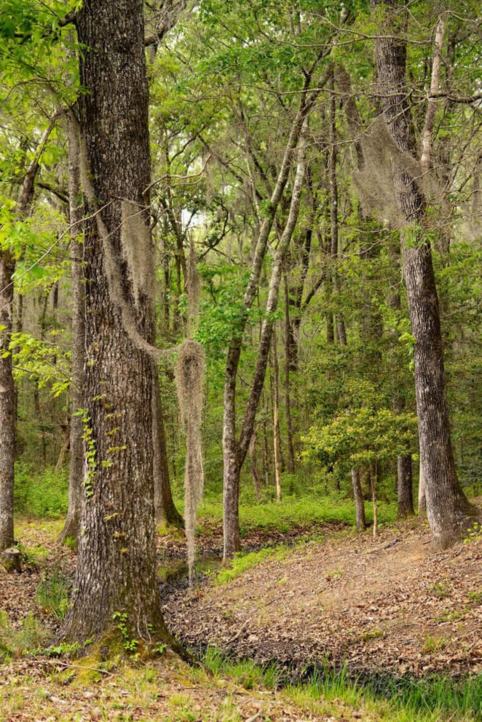 Confederate General Robert E. Lee had soldiers build forts where they would man cannons. There are two still on the property.