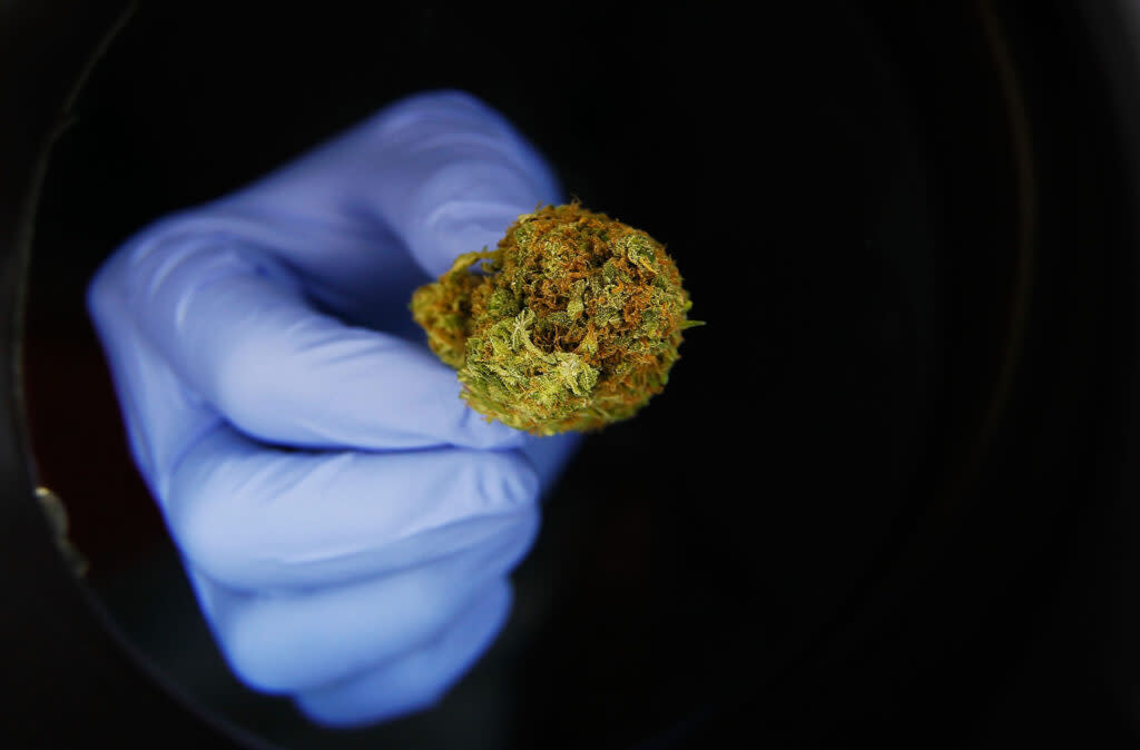 A portion of marijuana is seen under a magifying glass at the Abundant Healing store in Fort Collins, Colorado.