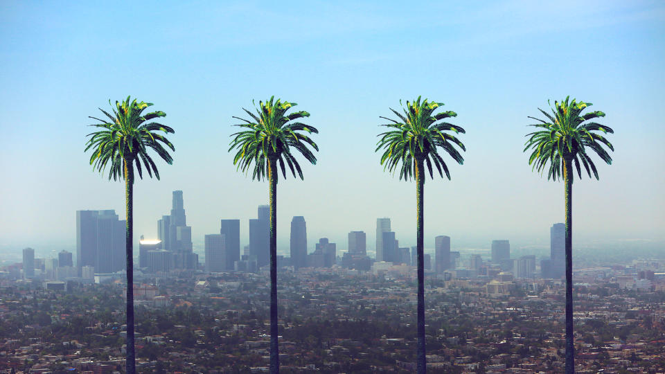 Los Angeles California Skyline Palm Trees