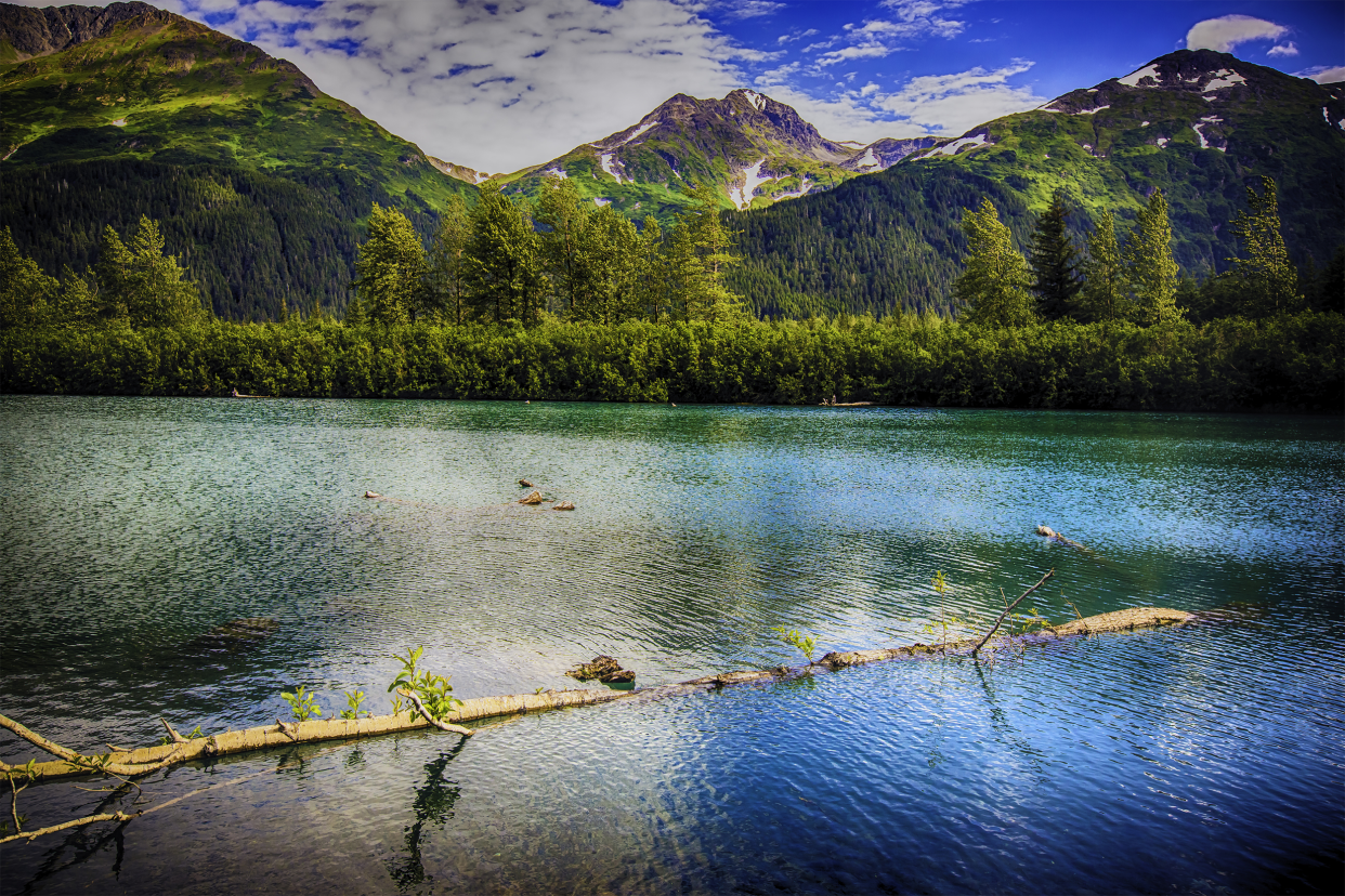 Kenai River