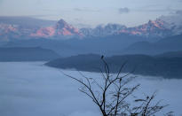 FILE - Birds sit on tree branches in front of a mountain range near Pokhara, Nepal, Saturday, Jan. 1, 2022. A police official Sunday, May 29, 2022, says a small airplane with 22 people on board flying on a popular tourist route is missing in Nepal’s mountains. (AP Photo/Niranjan Shrestha, File)