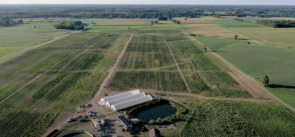 48North's outdoor cannabis farm is seen in a September 2019 promotional video. (48North/YouTube)