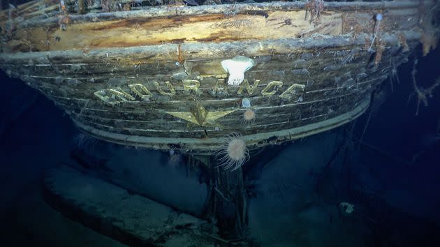 The stern of the Endurance with the name and emblematic polestar (Photo: Falklands Maritime Heritage Trust and National Geographic)