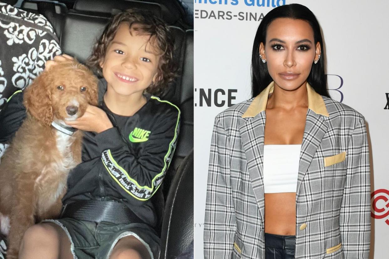 Ryan Dorsey/Instagram www.instagram.com/p/Cik-hBuO4GB/?hl=en. Naya Rivera's Son Gets Puppy ; BEVERLY HILLS, CALIFORNIA - NOVEMBER 06: Naya Rivera attends Women's Guild Cedars-Sinai Annual Luncheon at Regent Beverly Wilshire Hotel on November 06, 2019 in Beverly Hills, California. (Photo by Jon Kopaloff/FilmMagic)