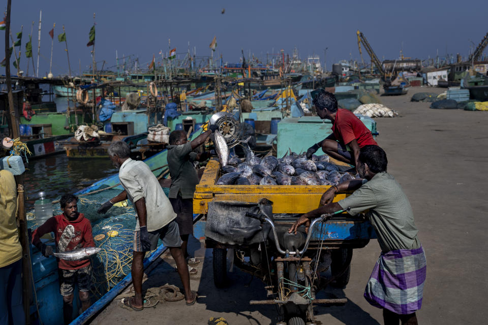 Fishermen transport fish their catch from a boat at a harbor in the southern Indian city of Chennai, April 15, 2024. (AP Photo/Altaf Qadri)