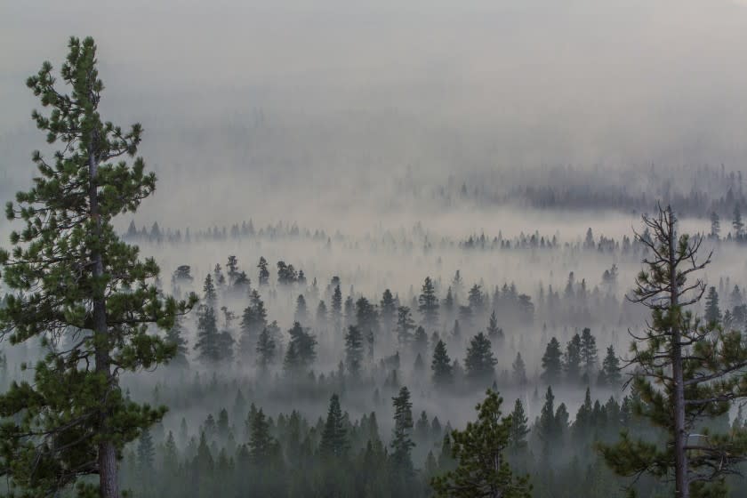 In this Sunday, Aug. 27, 2017, photo, smoke from a wildfire west of Sisters, Ore., blankets the Deschutes National Forest. Firefighters in southern Oregon on Tuesday, Aug. 29, gained a toehold on a fire burning near the coastal town of Brookings but new evacuations were ordered after a flare-up on a different complex of lightning-caused fires in a remote area near the California border. (Fedor Zarkhin/The Oregonian via AP)